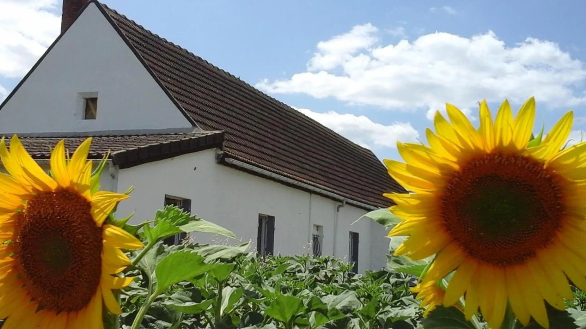 別荘 Maison De Ferme Renovee Avec Terrasse, Jardin Et Equipements Modernes A Taxat-Senat - Fr-1-489-363 フランス