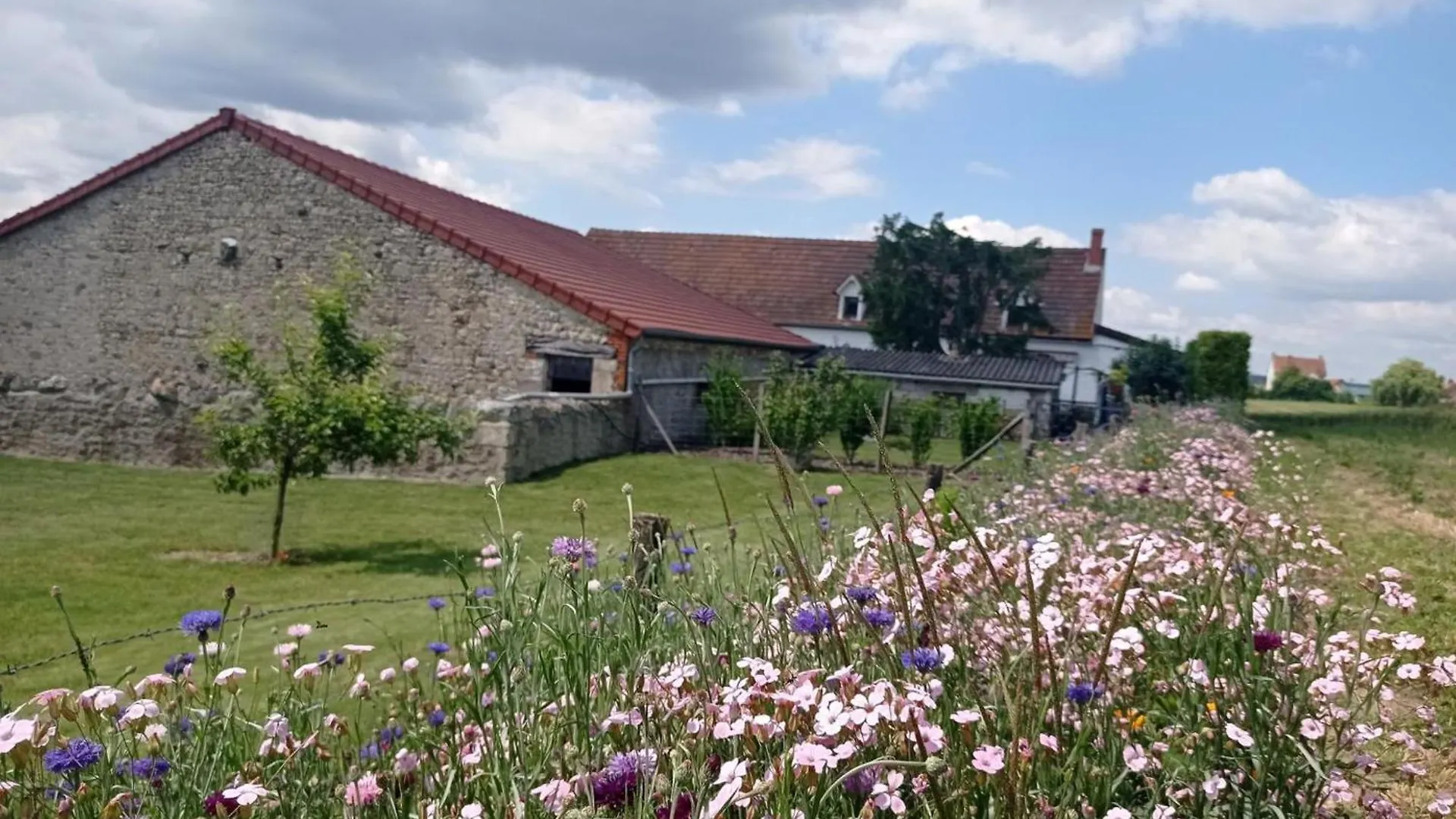 Maison De Ferme Renovee Avec Terrasse, Jardin Et Equipements Modernes A Taxat-Senat - Fr-1-489-363 France