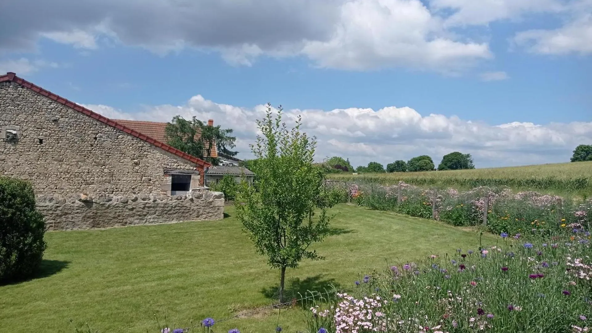 Maison De Ferme Renovee Avec Terrasse, Jardin Et Equipements Modernes A Taxat-Senat - Fr-1-489-363 0*,  France